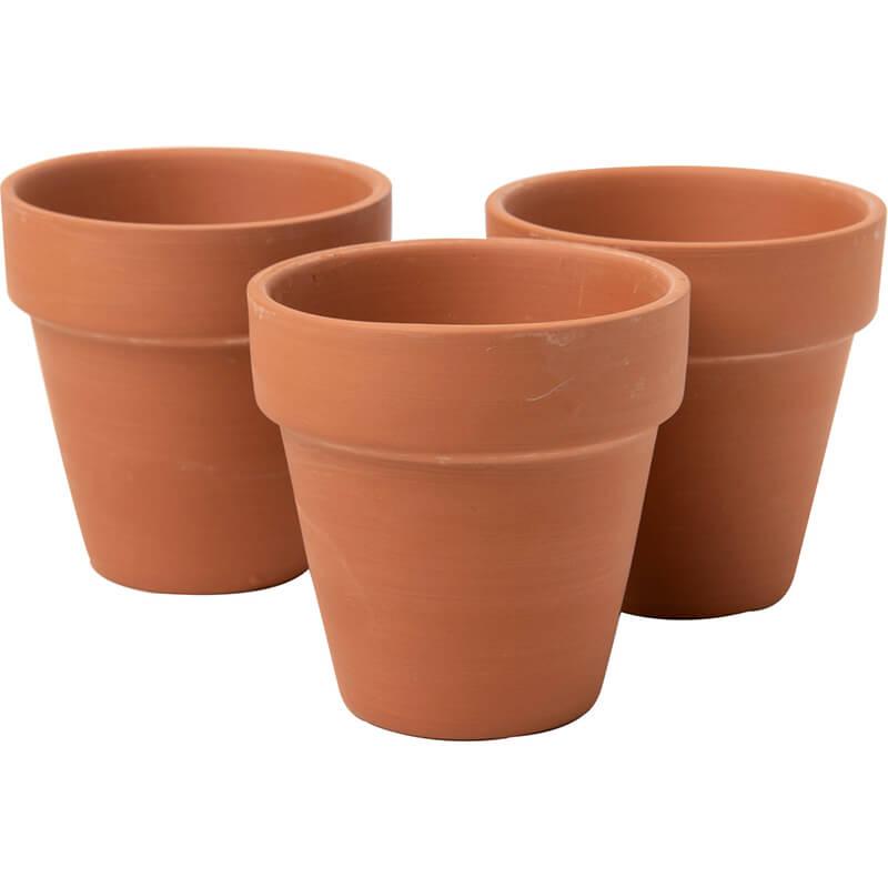 Flower Pot